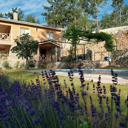 빌라 Lycian - Mountain And Sea View With Heated Pool *