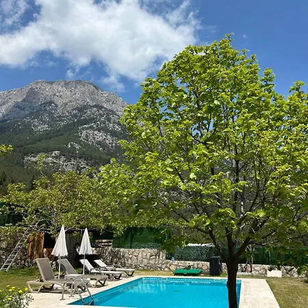 Lycian - Mountain And Sea View With Heated Pool 빌라 케메르